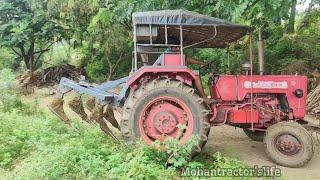 Mahindra 575 di 5 point cultivater performance in field | mohantractor'slife