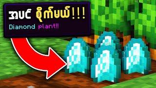 Minecraft but Diamond တွေစိုက်လို့ရပါတယ်!!!