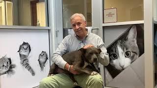 Adoption Plea from Charleston Animal Society CEO