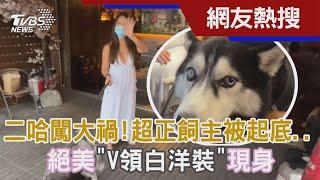 二哈闖大禍! 超正飼主被起底.. 絕美「V領白洋裝」現身｜TVBS新聞 @TVBSNEWS02