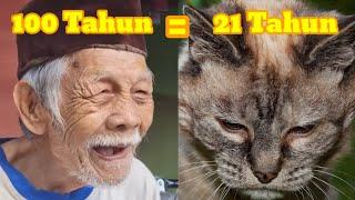 PERBANDINGAN UMUR KUCING DAN MANUSIA