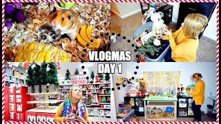 DECORATING THE PET ROOM & SHOPPING | Hamster has big Cheeks | Vlogmas