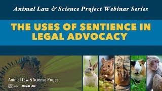 The Uses of Sentience in Legal Advocacy