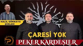 ÇARESİ YOK -PEKER KARDEŞLER-2024