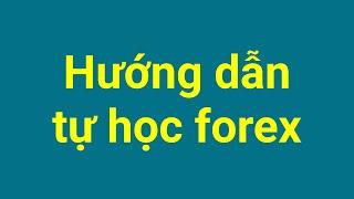 Forex | Hướng Dẫn Tự Học Forex Đúng Cách