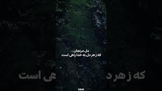 Untitled video