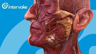 Intervoke interactive 3D anatomy #healthcareeducation