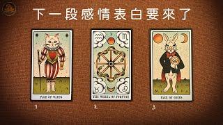  下一段感情的表白正悄然接近｜ 宇宙正在推動命定的相遇  他在等你給出心的答案 ️塔羅感情占卜三選一️適用任何時間季節 / CC(Sub)EN-JP-TC