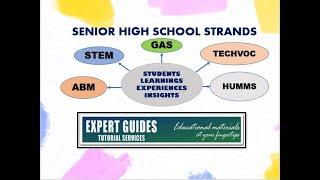 SENIOR HIGH SCHOOL  STRANDS  - PART 2 (STUDENTS Learnings,  Experiences & Insights)