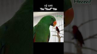 [지구젤리] 으응 트리오 / 으~응? / The "Hmm?" Trio