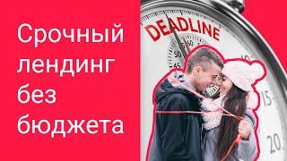 Как сделать сайт на бесплатном тарифе Тильды  #madeontilda