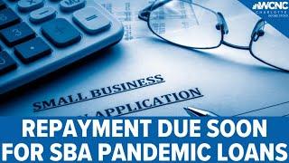 What small business owners need to know about repaying loans tied to pandemic relief