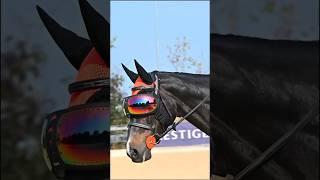 Защита для глаза лошади с eQuick EVYSOR @new-best-horse #конныйспорт #horse #лошади