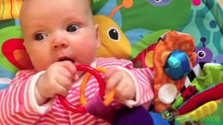 Tomy Lamaze Freddie The Firefly Collection Review (Sponsored)