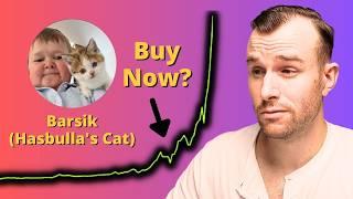 Why Barsik Is Up... ️ Hasbulla's Cat Crypto Token Analysis