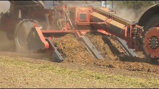 Peanut Producers Impacted by 2024 Weather & Prices