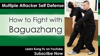 Intro to Bagua - Learn to Fight with Baguazhang