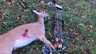 DEER Hunting Missouri BOW KILL!