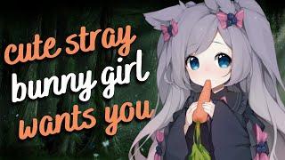 stray bunny girl wants you  (F4M) [silly and sweet] [compliments] [wholesome] [asmr]