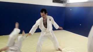 Aikido Practice Daily