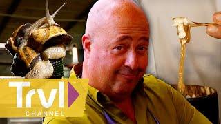 Andrew’s SLIMIEST Meals | Bizarre Foods with Andrew Zimmern | Travel Channel