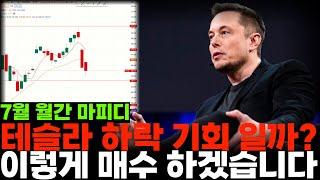 테슬라 하락 기회 일까? 저는 '이렇게' 매수 하겠습니다.