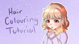 How I Colour Hair! || Hair Colouring Tutorial