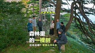 森林里的一棵树 The Tree in the Forest- a capella- in the Yellow Mountains