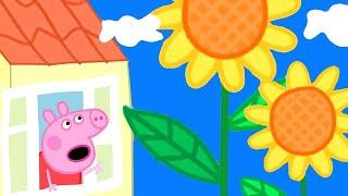 Peppa Pig Français  Des Fleurs Géantes Dans Le Jardin De Peppa  Dessin Animé Pour Bébé