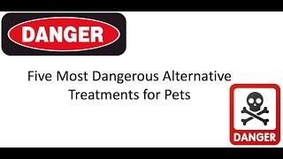 5 Most Dangerous Alternative Treatments for Pets