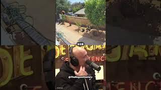 Woman Pushes Huge Bear Off A Wall