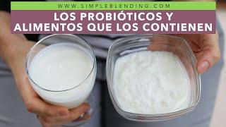 LOS PROBIÓTICOS Y LOS ALIMENTOS QUE LOS CONTIENEN | ¿Qué son los probióticos?