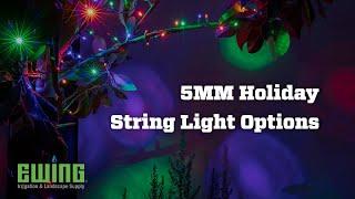 5MM Holiday String Light Options