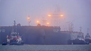 4K SHIPSPOTTING PORT OF ROTTERDAM 2024 WITH MY BIGGEST BULK CARRIER I EVER FILM