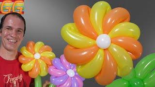 balloon flowers