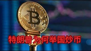 特朗普为何举国炒币   比特币|美元|黄金|美联储