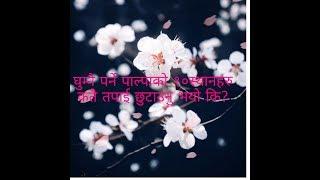 घुम्नै पर्ने पाल्पा को 10 स्थानहरु