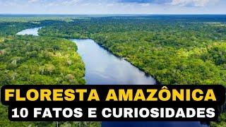 Floresta Amazônica - 10 Fatos e Curiosidades Interessantes