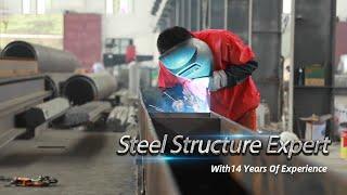 Canglong Steel Structure Company—Steel Structure & Steel Warehouse Supplier