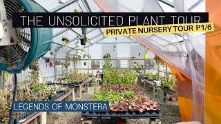 Unsolicited Plant Tour Part 1/6 | Private Houseplant Nursery | Rare Monstera Philodendron Hoyas