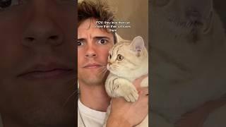 “nonsense, he loves it”#cat #cats #catsofinstagram #catsoftiktok #funnycats #catsofyoutube #catlover