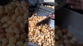 panipuri fryer machine | Automatic Fryer Machine | Fryer Machine #shorts #shortsfeed #fryermachine
