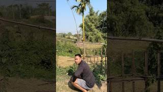চাধা vs লেটিন  Assamese comedy short #shorts #funny