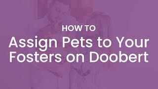 How to Assign Pets to Your Fosters on Doobert