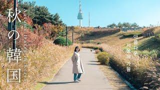 Beautiful Autumn in Seoul | 2 day trip to South Korea