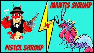 PISTOL SHRIMP vs MANTIS SHRIMP - Who Would Win?