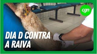 Vacinação antirrábica ocorre neste sábado; confira