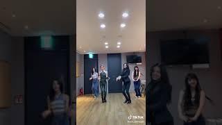 [오마이걸 틱톡]있지분들과 함께 던던댄스 챌린지