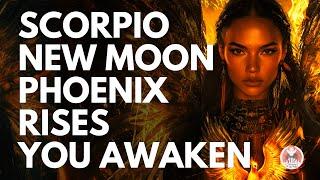 PHOENIX RISING Scorpio New Moon Meditation for Deep Healing & Rebirth