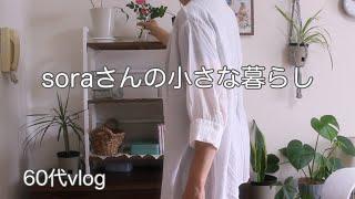 《60代ひとりと1匹暮らし》忙しい時の作り置き/姫ちゃんの定期検診/大雨でも幸せなお出かけ　#一人暮らし #暮らしの記録